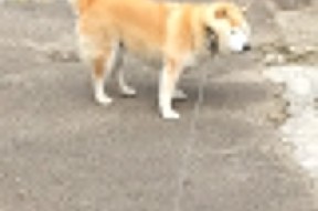 kaiyun开云体育-欧洲杯精彩激战：突破、阵地战、防守反击俱佳，欧洲杯揭幕战依98db in