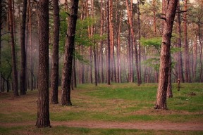 开云体育链接-中国 basketball 基本功提升在少年阶段的重要性，basketballgym