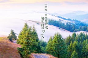 开云体育平台-新西兰全黑队快速的攻守转换让对方无力反击，新西兰全黑队慈善公益