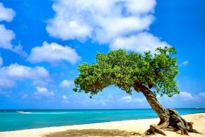 开云体育官网上-奥预赛U23国足战平 球迷呼吁更多换人尝试，国奥队u23亚洲杯