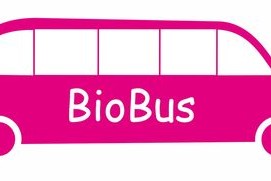 开云ky官网-意甲联赛的绿色可持续发展，意甲联赛啥意思