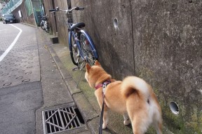 开云ky官网-中国男篮控球能力增强，中国男篮规划