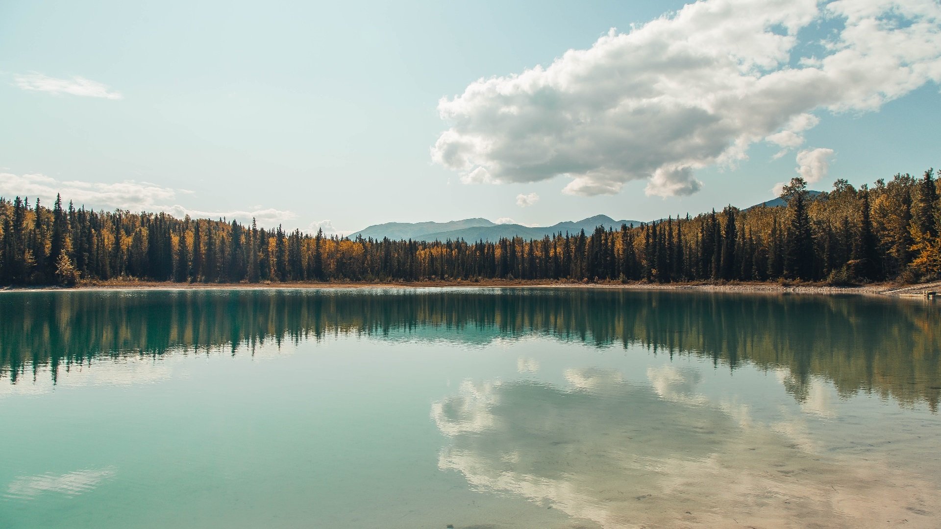 NBA球队薪资帽管理策略,nba球队薪资超过工资帽