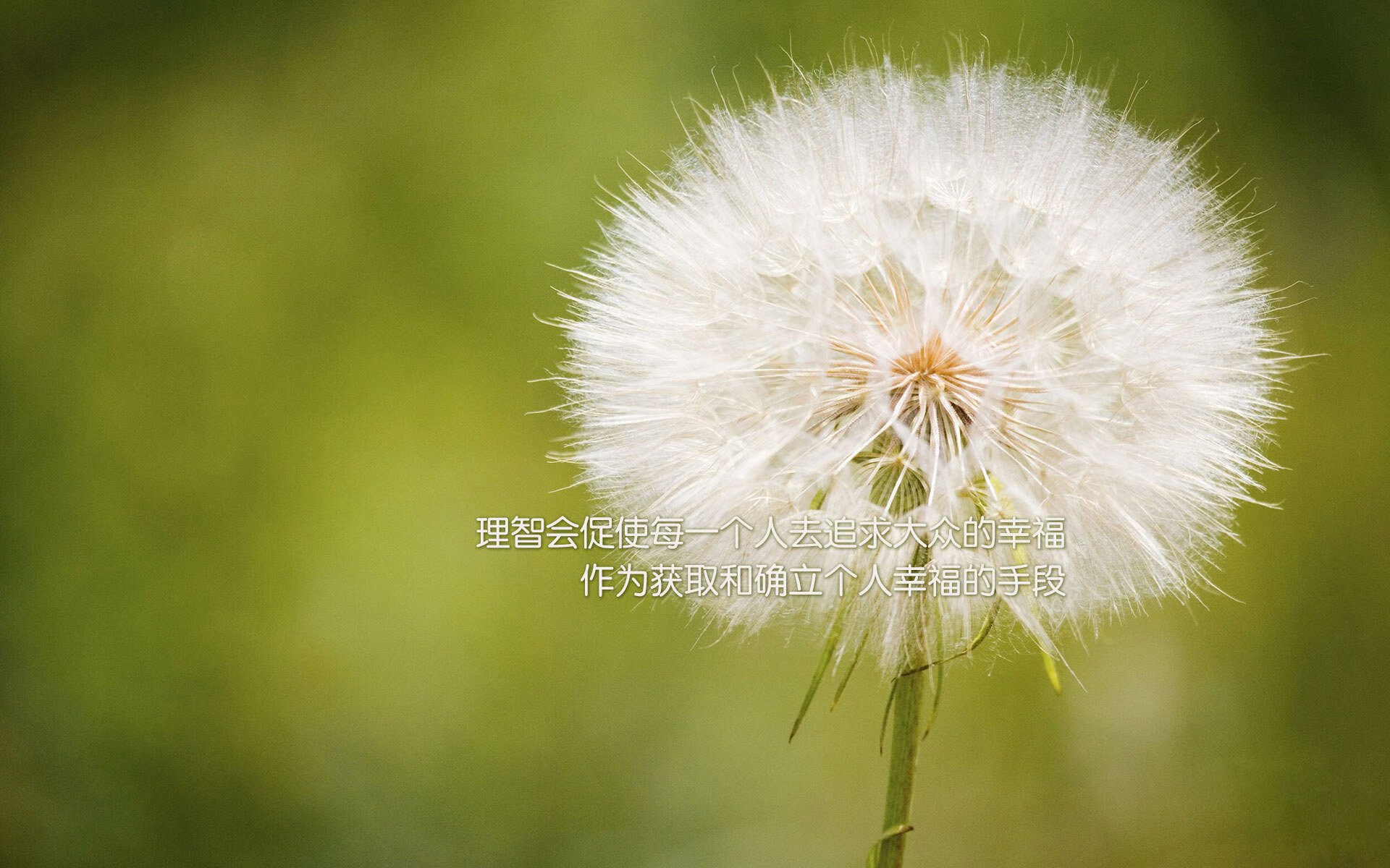 NBA球队训练场馆智能管理系统设计,nba球队场馆名称