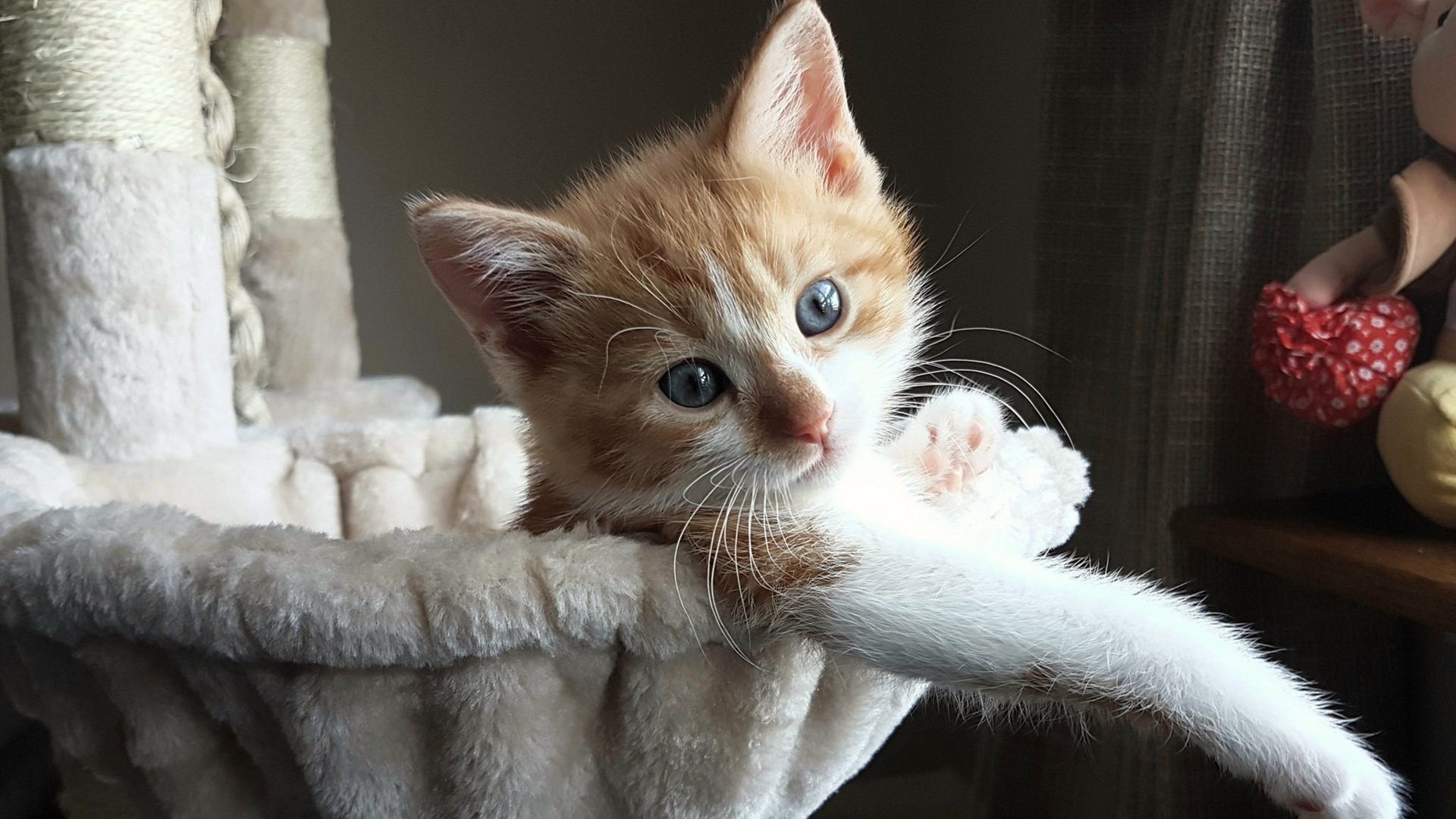 花样滑冰训练节奏调整增强动作稳定性，花样滑冰训练方法