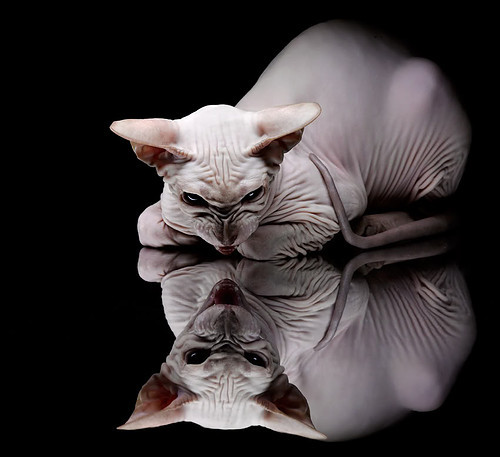 马洛卡整体防守升级化解高压攻势,马洛卡赛