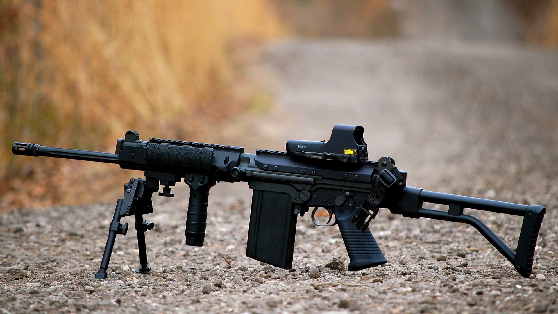 突尼斯自由泳新星连创佳绩,突尼斯游泳金牌